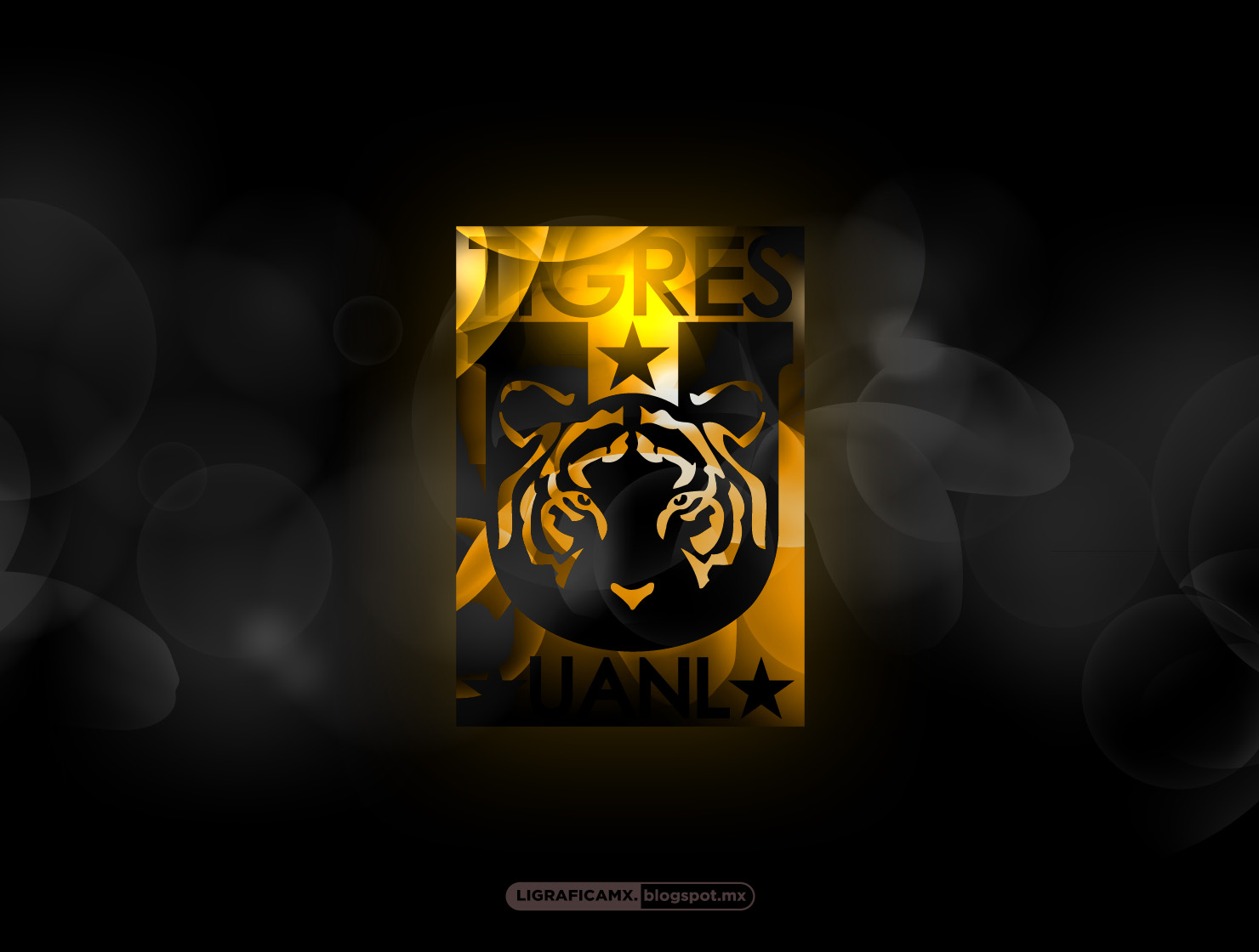 Tigres Uanl Wallpaper - Tigres Uanl , HD Wallpaper & Backgrounds