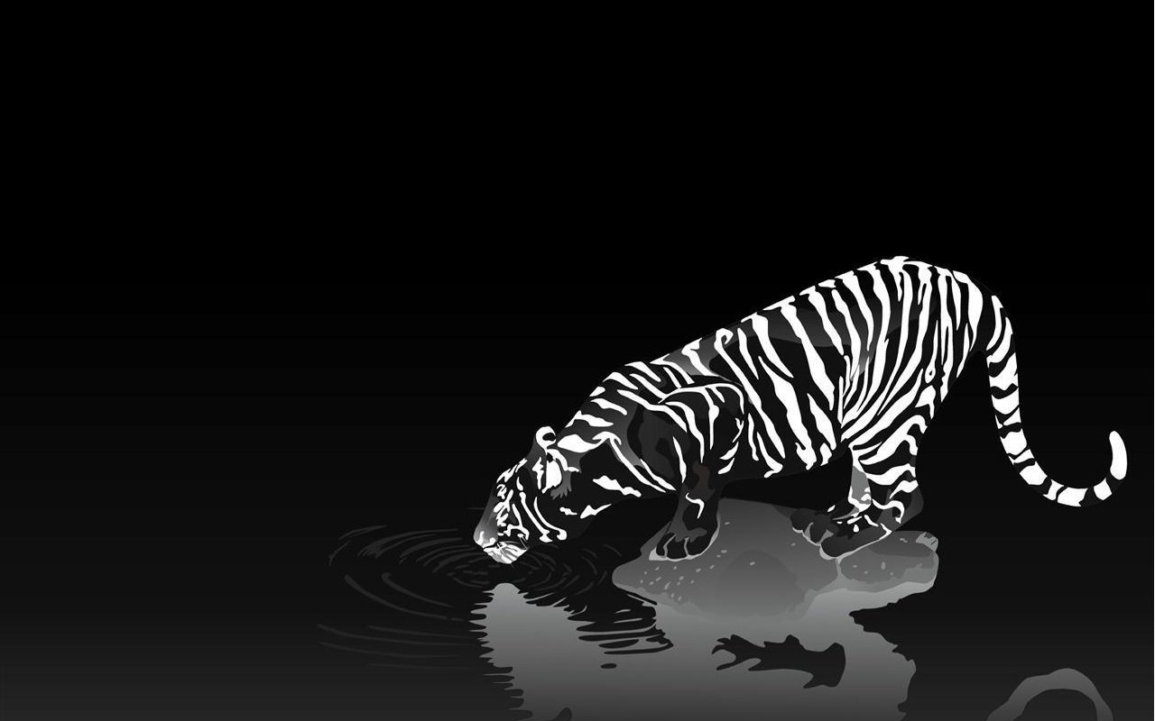 Black Background Black And White Animals , HD Wallpaper & Backgrounds