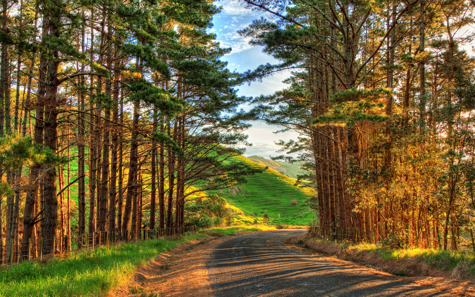 Trees, Road And Hills On The Background - Background Images Of Hills , HD Wallpaper & Backgrounds