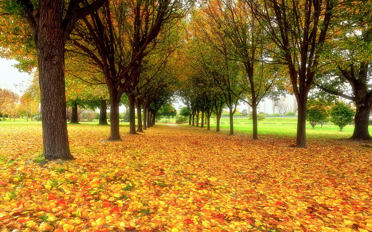 Latest Nature Wallpapers Free Download Group - Paisajes Otoño Hd , HD Wallpaper & Backgrounds