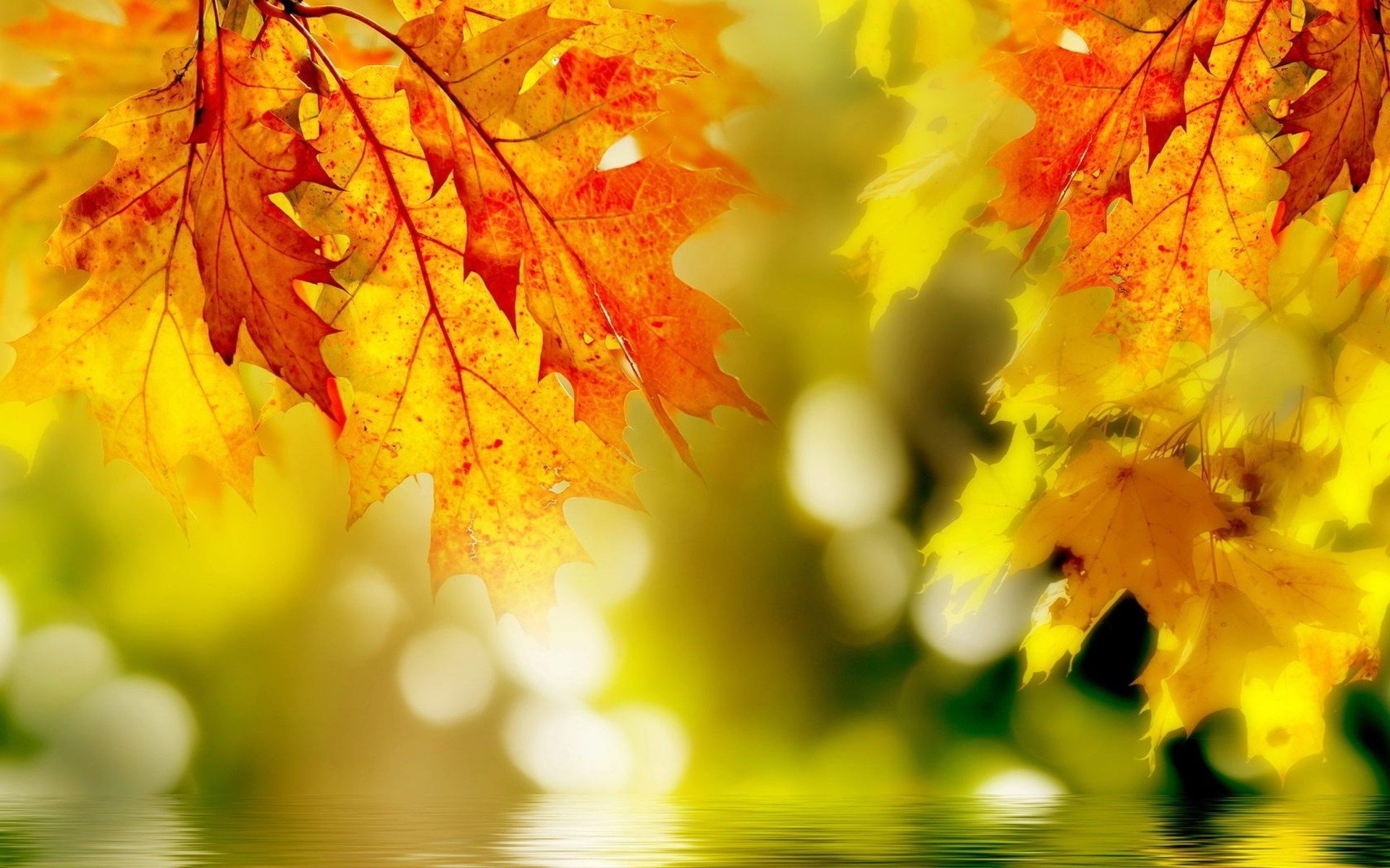 images for photoshop editing free download