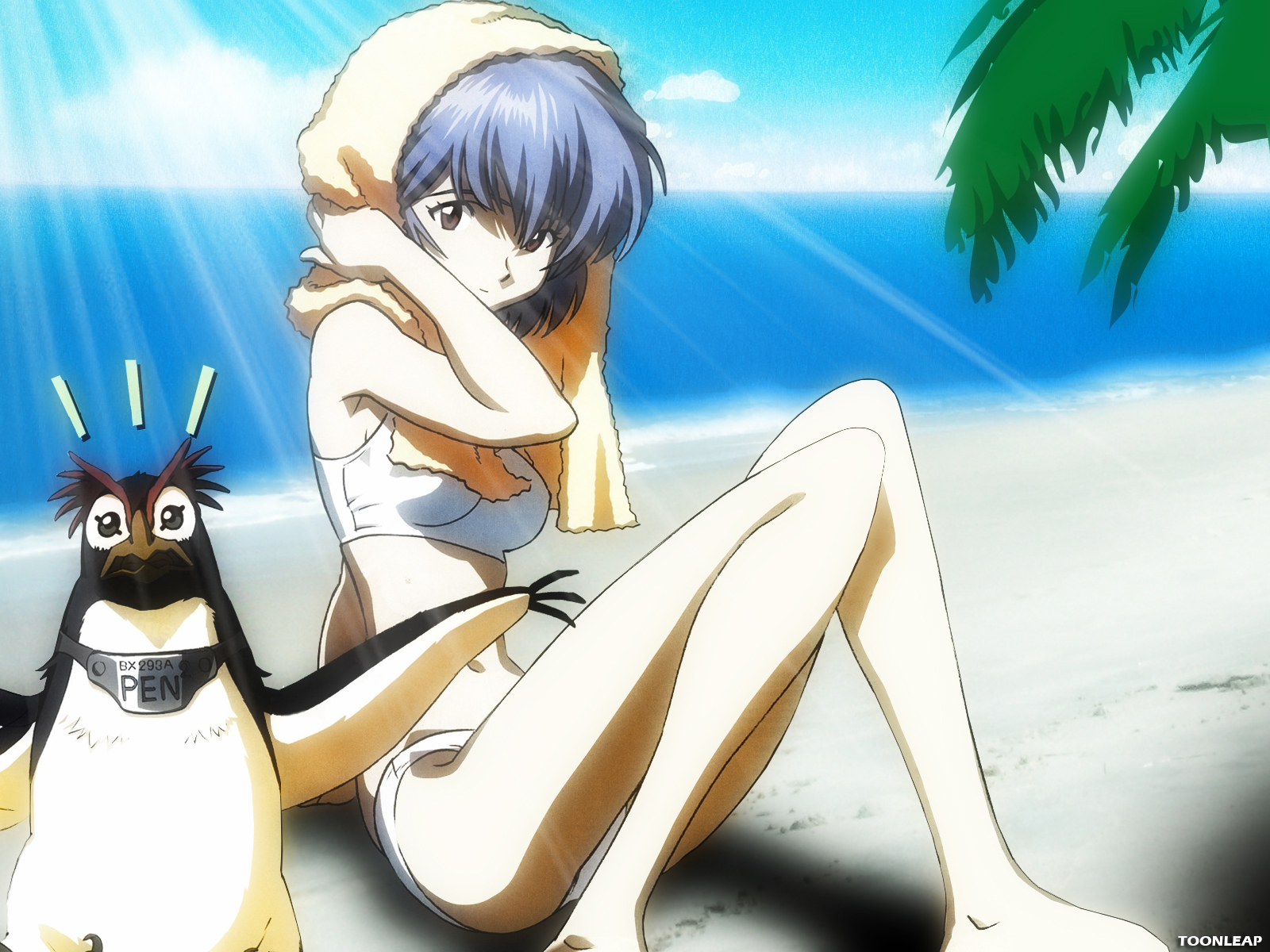 Neon Genesis Evangelion - Rei Ayanami Pen Pen , HD Wallpaper & Backgrounds