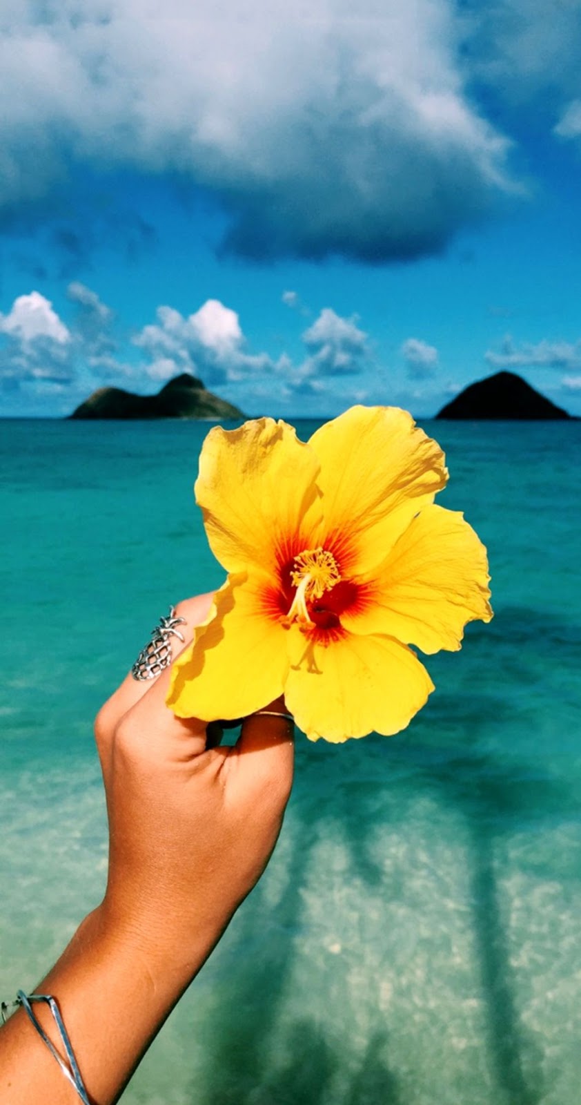 Tumblr Summer Wallpaper - Hawaii , HD Wallpaper & Backgrounds