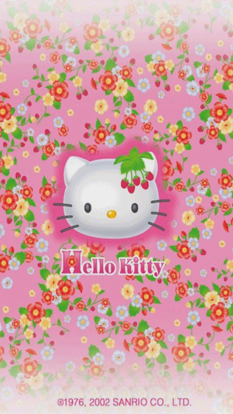 Hello Kitty Themes Iphone 5 , HD Wallpaper & Backgrounds