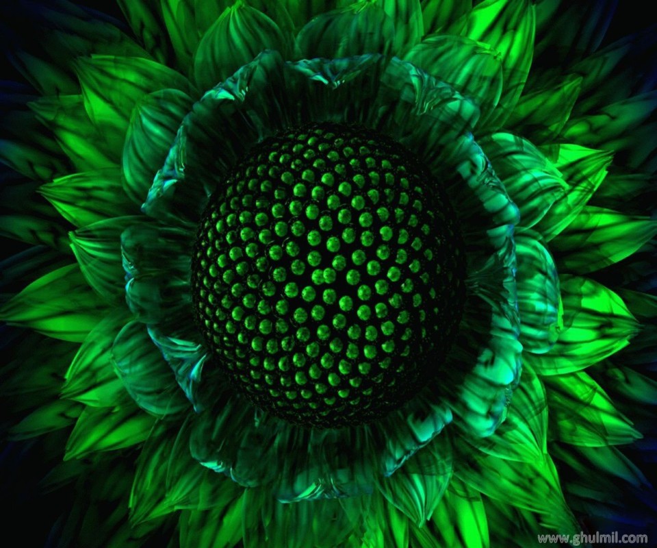 3d Flower Wallpaper For Mobile - Amazing Wallpapers For Mobile , HD Wallpaper & Backgrounds