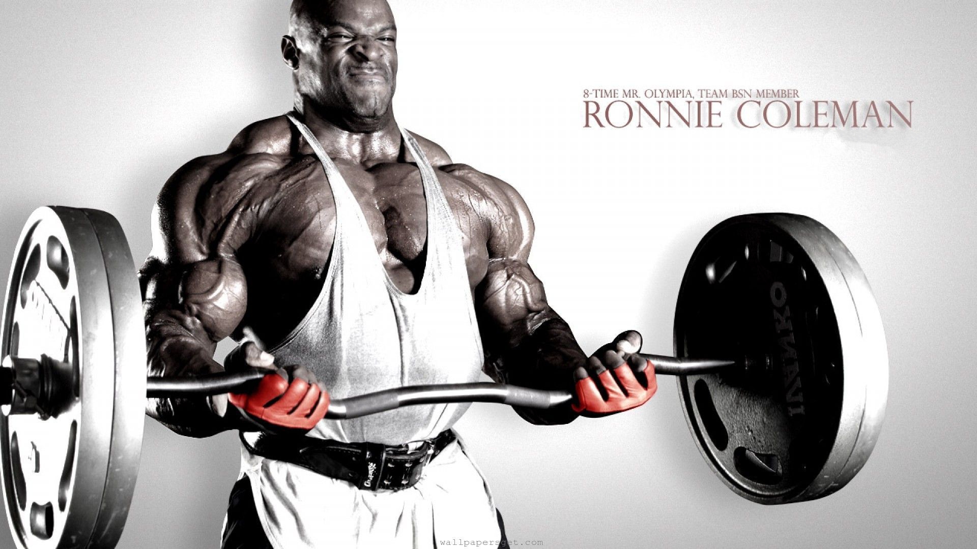 Download - Ronnie Coleman , HD Wallpaper & Backgrounds
