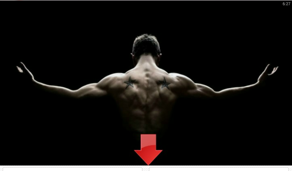 Bodybuilding Wallpapers - No Pain No Gain Gym , HD Wallpaper & Backgrounds