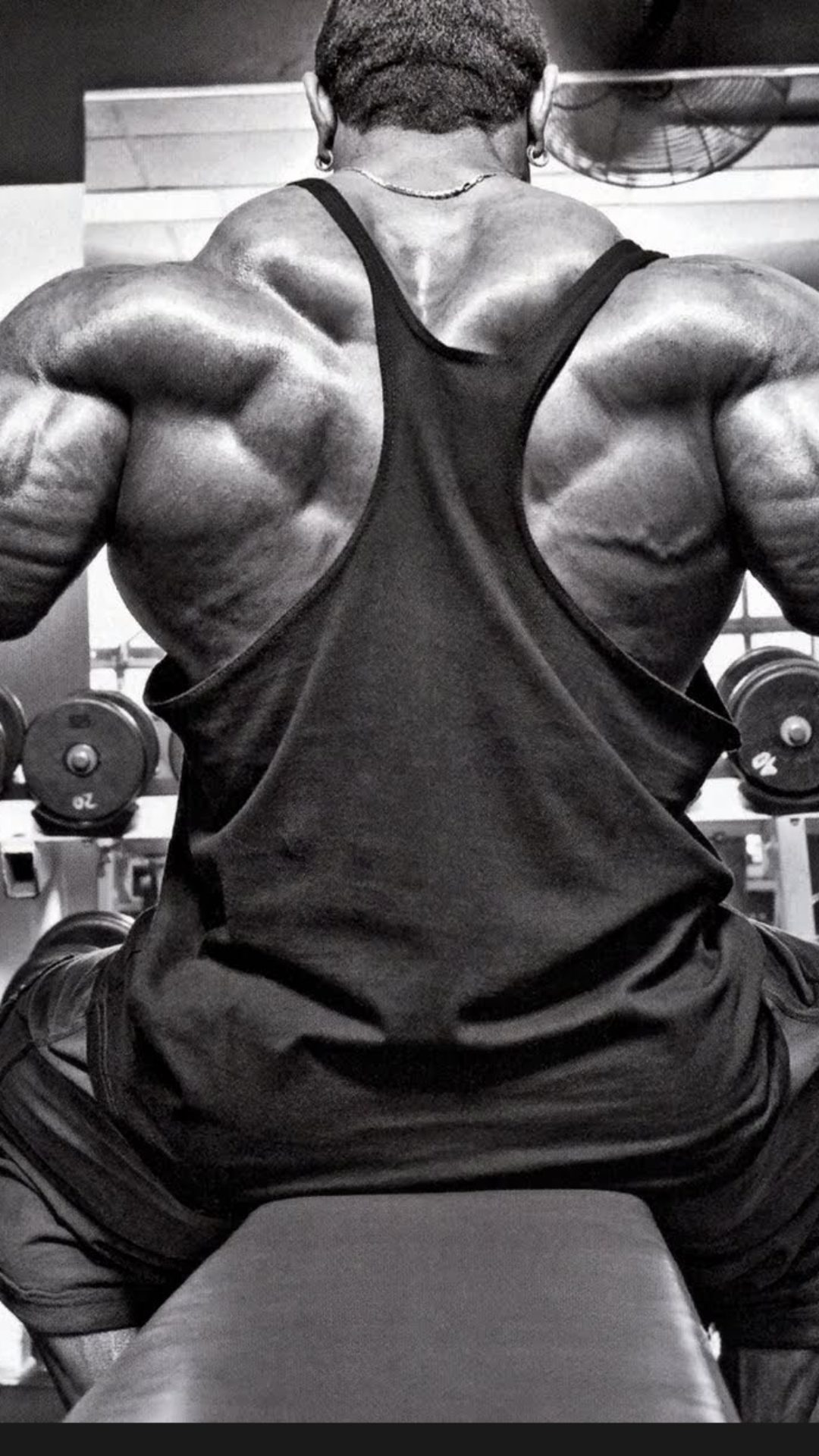 Bodybuilding Wallpaper Iphone - Triceps Workout , HD Wallpaper & Backgrounds
