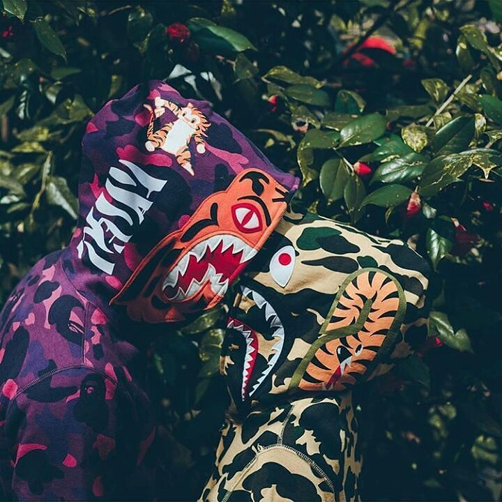 Bape Shark Wallpaper - Bape Hoodie , HD Wallpaper & Backgrounds