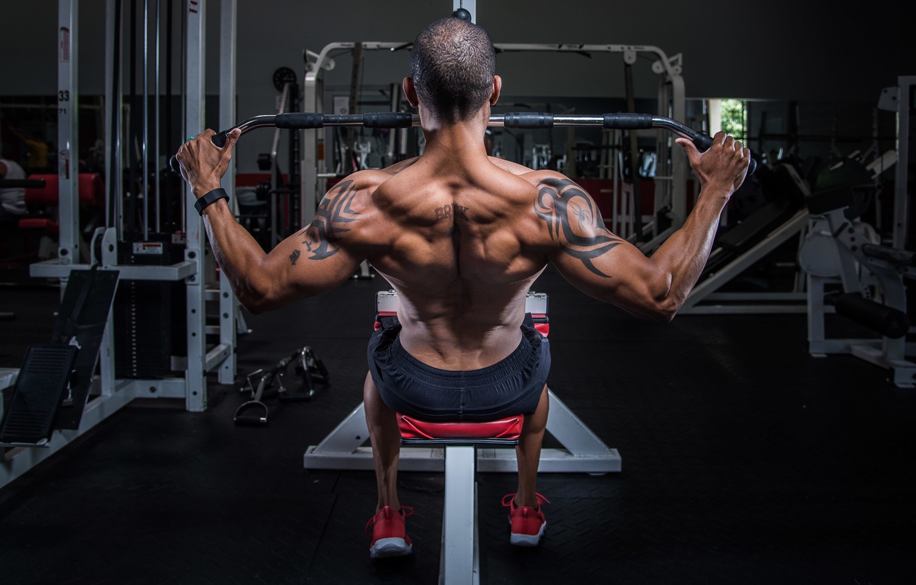 Photo Wallpaper Man, Back, Workout, Bodybuilding - Back Bodybuilding , HD Wallpaper & Backgrounds