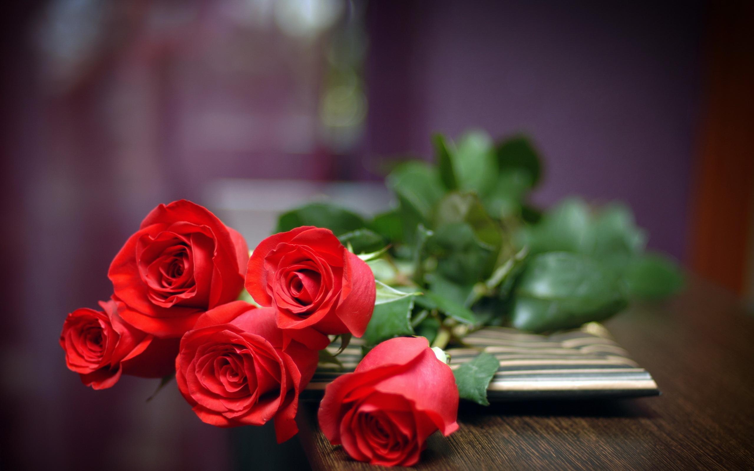 Red Rose Wallpaper For Love , HD Wallpaper & Backgrounds