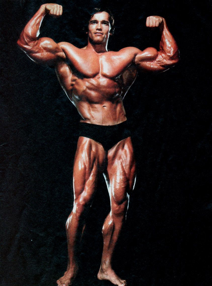 Arnold Schwarzenegger Bodybuilding - Arnold Schwarzenegger Prime Bodybuilding , HD Wallpaper & Backgrounds