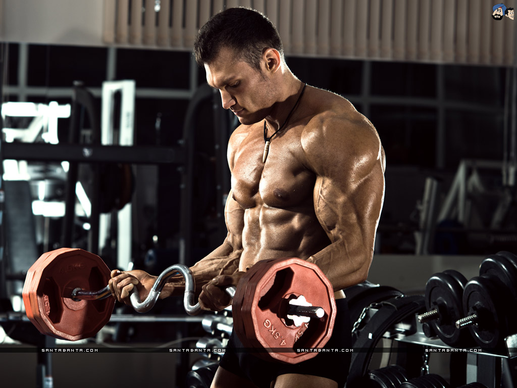 Bodybuilding - Bodybuilders Wallpapers For Download , HD Wallpaper & Backgrounds