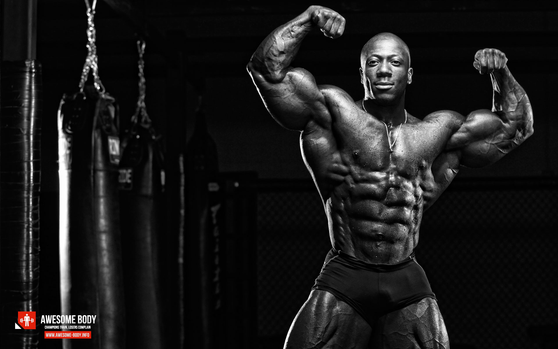 Best Bodybuilding Wallpaper - Body Building , HD Wallpaper & Backgrounds