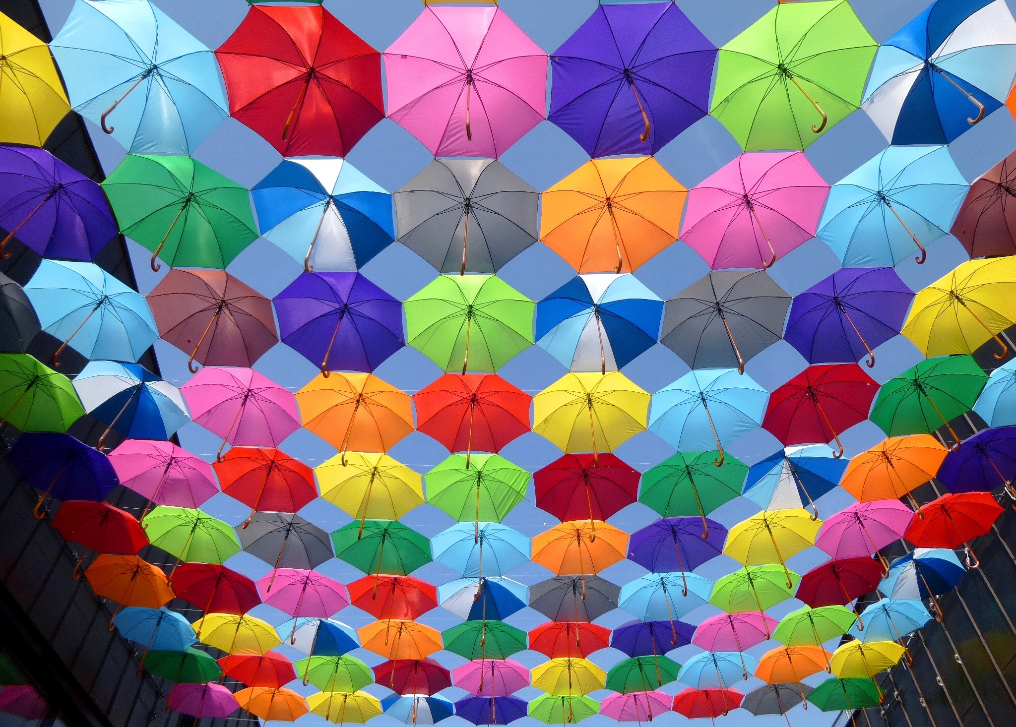 Pixabay - Umbrella Colors , HD Wallpaper & Backgrounds