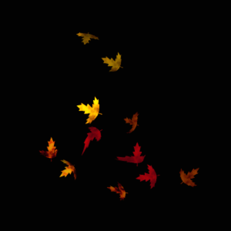 Animated Wallpaper Gif - Animated Falling Leaves , HD Wallpaper & Backgrounds