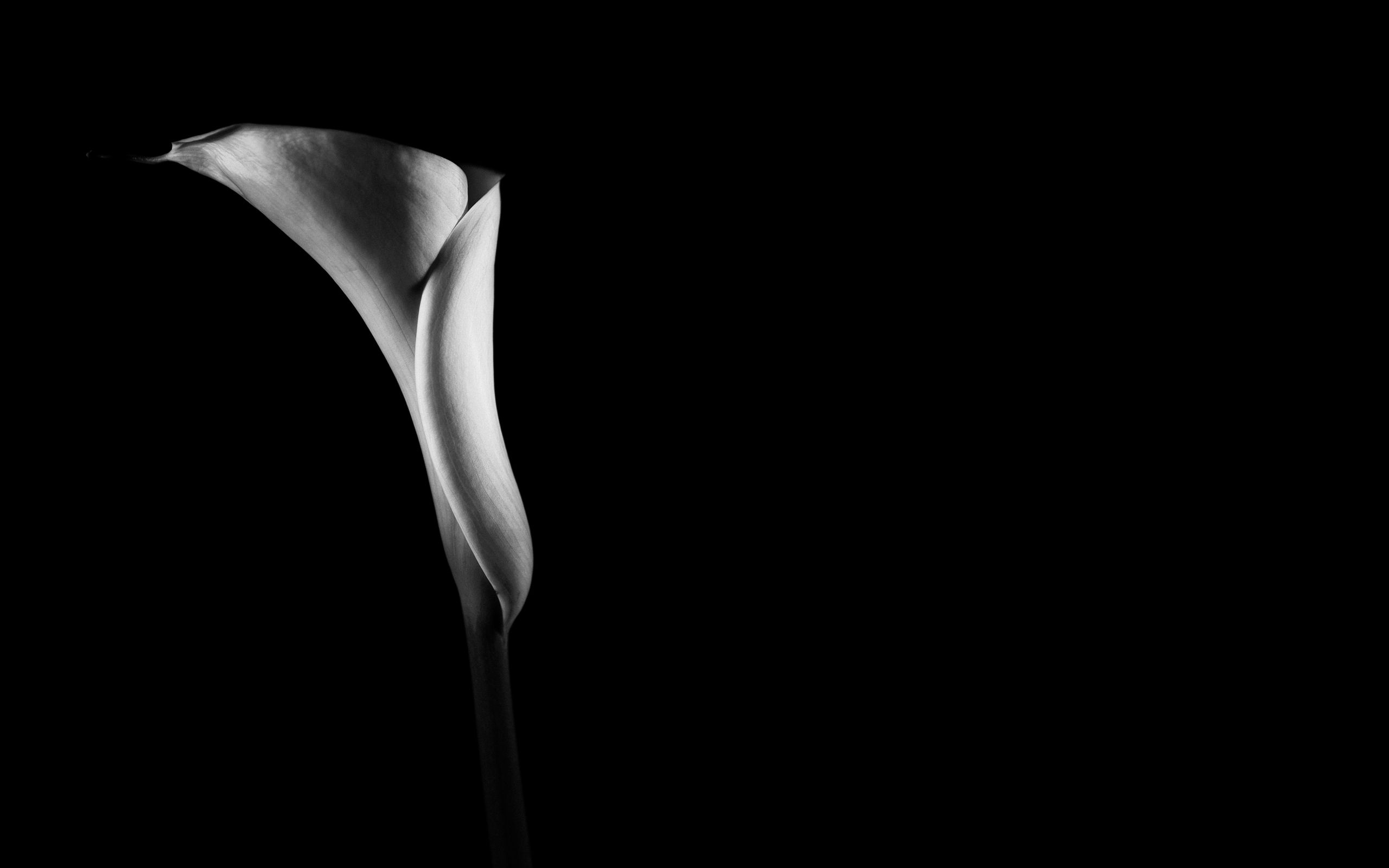 Photo Awesome Black Background 43275 Hd Wallpaper