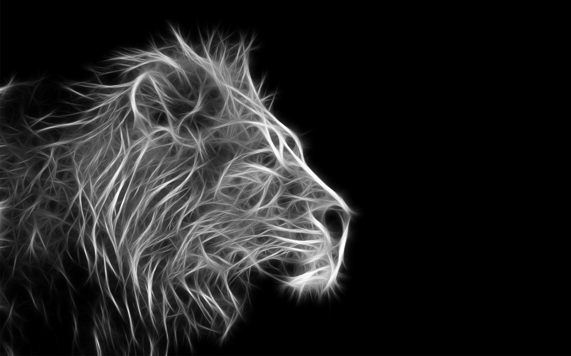 Black And White Hd Wallpapers - Hd Black Wallpaper Lion , HD Wallpaper & Backgrounds