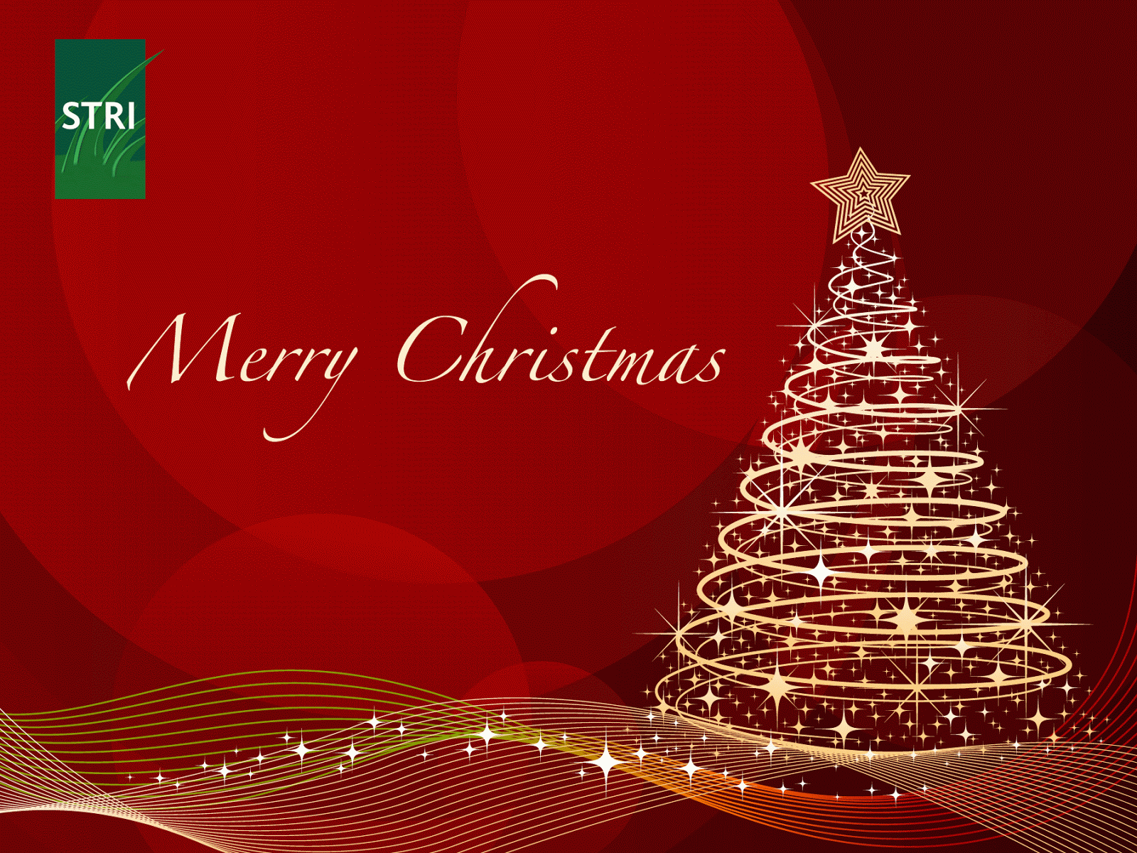 Merry Christmas Animated Gif Wallpaper With Gif On - Animated Gif Christmas Greetings , HD Wallpaper & Backgrounds