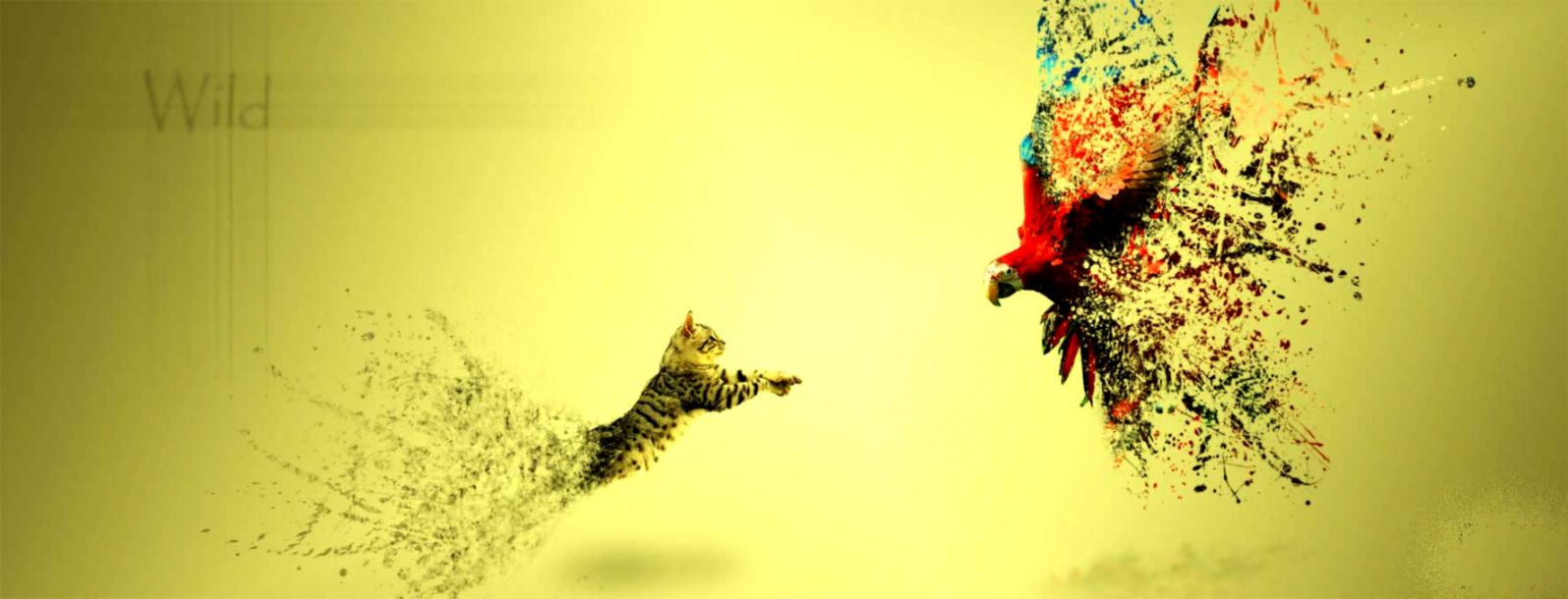 211 Facebook Cover Page Photos Banner Images Hd Free Facebook Cover Photo Size Background Hd Wallpaper Backgrounds Download 211 Facebook Cover Page Photos Banner Images Hd Free Facebook Cover Photo Size Background Hd Wallpaper Backgrounds Download