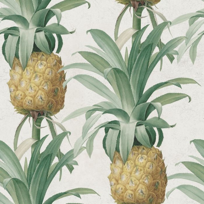 Mindthegap Ananas , HD Wallpaper & Backgrounds