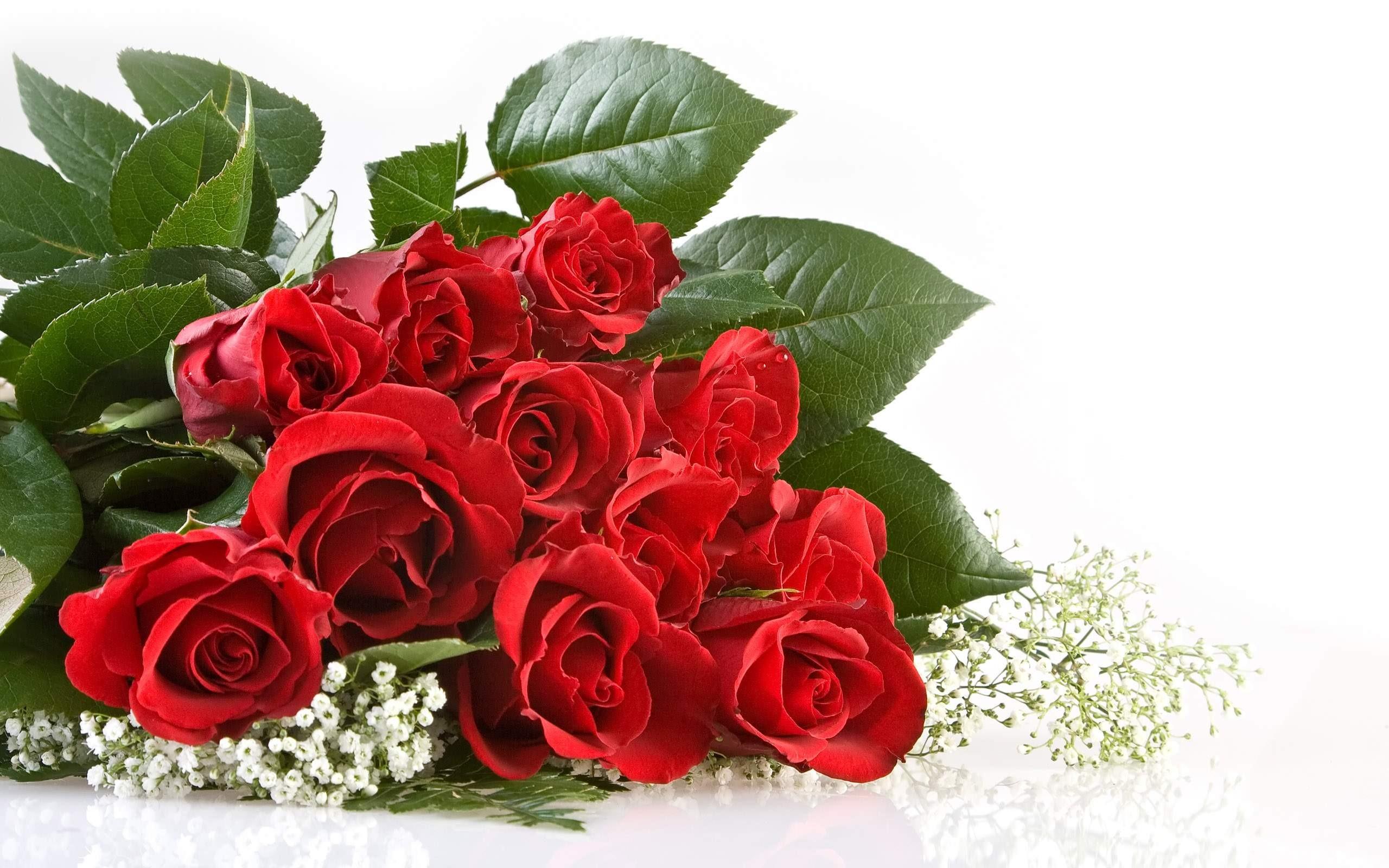 Wallpaper Bunga Rose - Happy Marriage Anniversary Gift , HD Wallpaper & Backgrounds