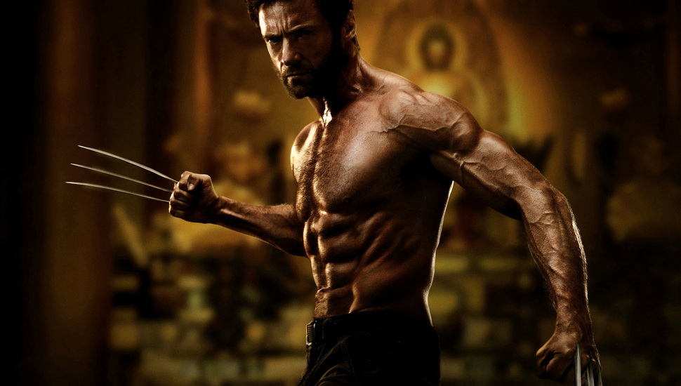Logan, Hugh Jackman, Hugh Jackman, The Wolverine, Wolverine, - Hugh Jackman Wolverine 2 , HD Wallpaper & Backgrounds