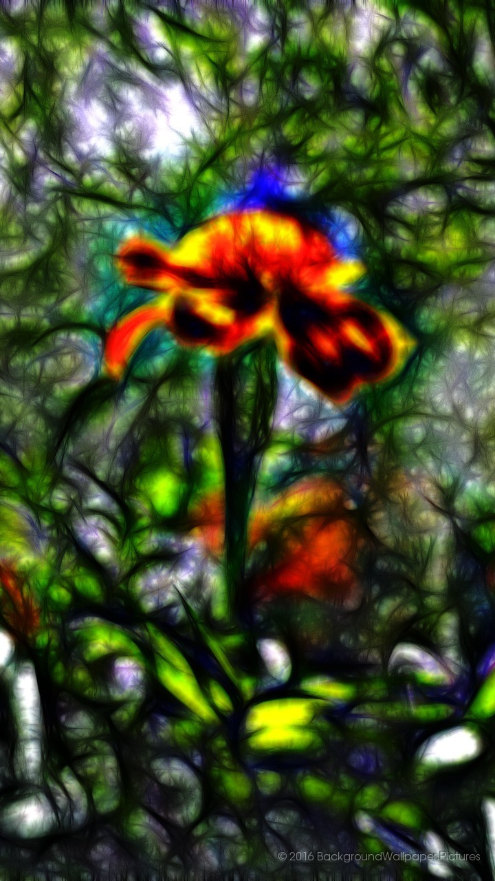 Download Wallpaper Cantik - Iris , HD Wallpaper & Backgrounds