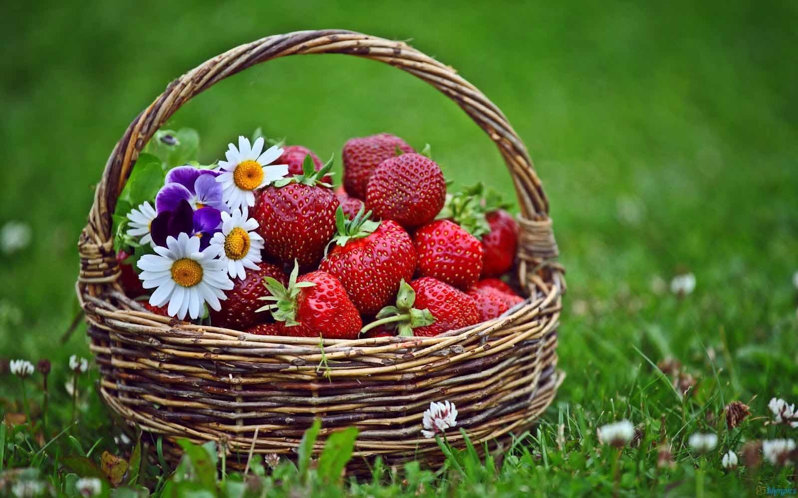 Flowers And Strawberries Baskets , HD Wallpaper & Backgrounds