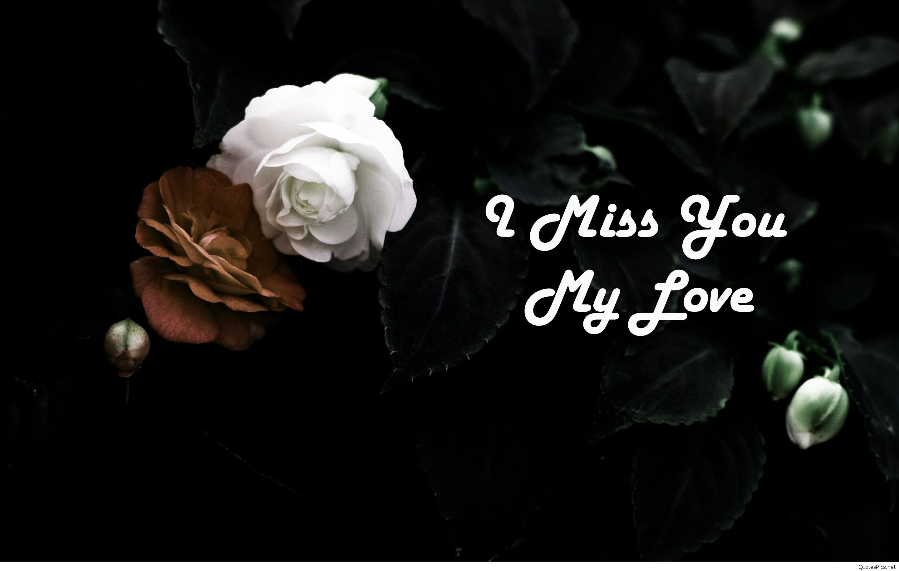 Miss U Wallpapers For Love - Love Sayri Image Download , HD Wallpaper & Backgrounds