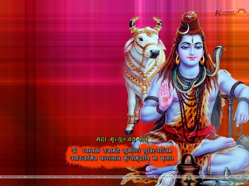 Shivji Wallpapers, God Shiva Baba Wallpaper, Shiv Wallpapers - Good Morning Maha Shivratri 2019 , HD Wallpaper & Backgrounds