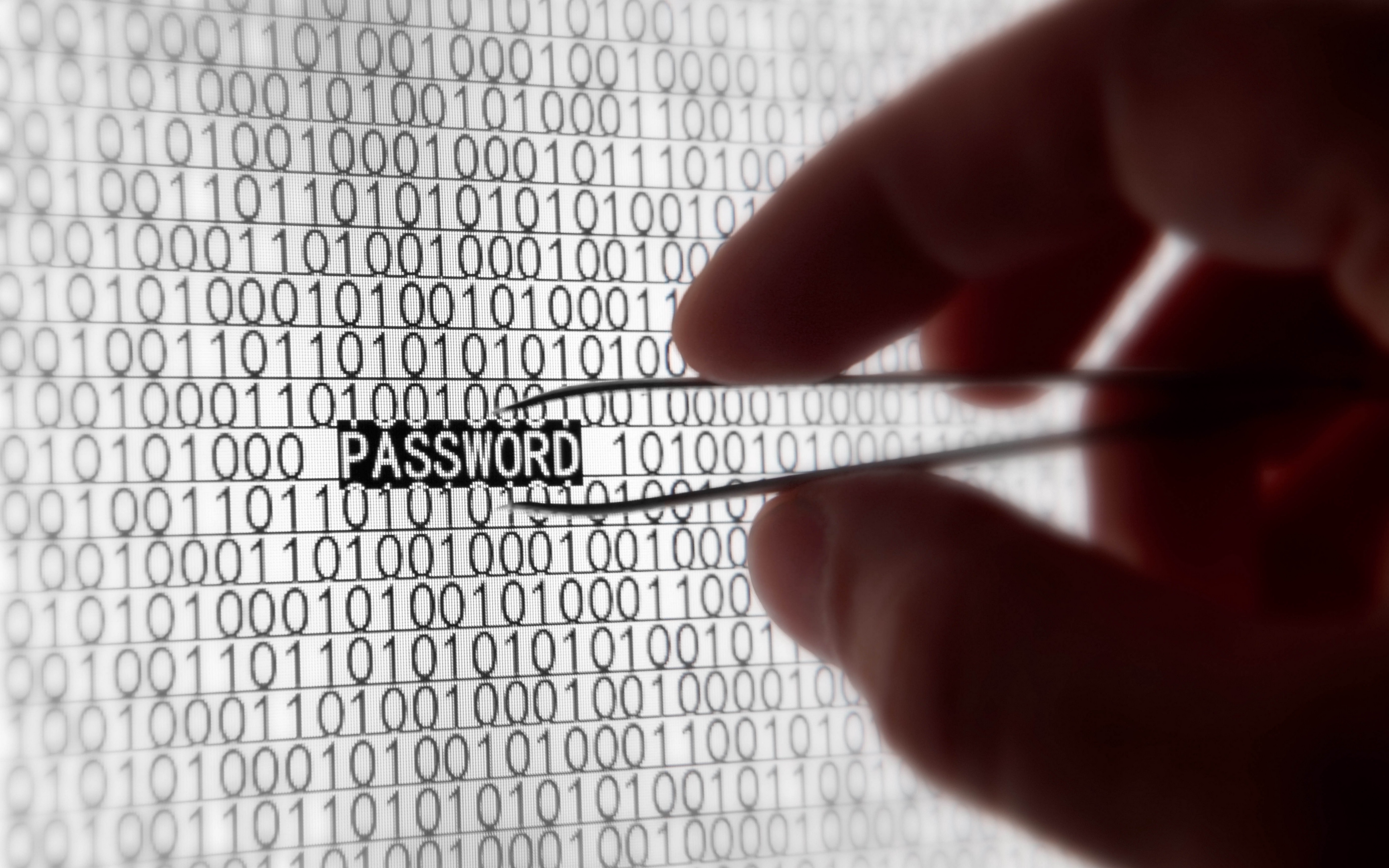 Back To 55 Hacker Wallpapers Hd - Password Hack , HD Wallpaper & Backgrounds