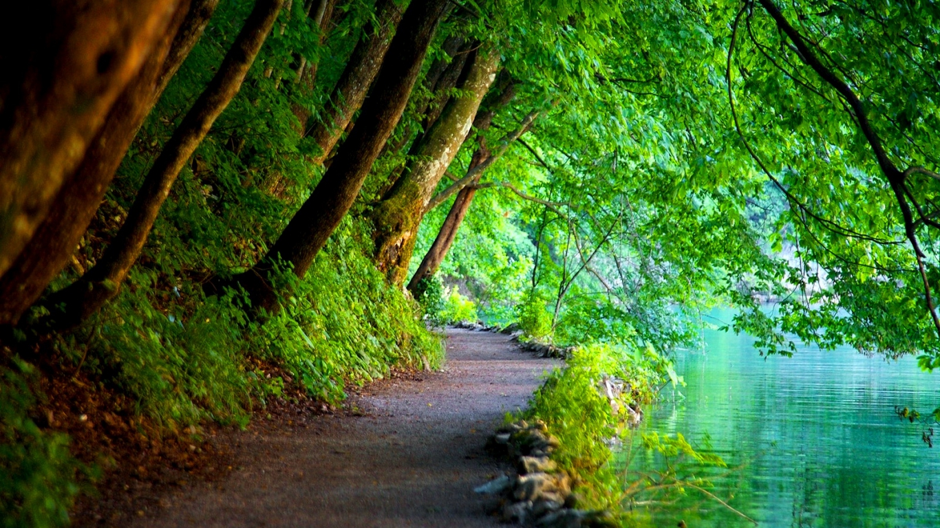 Featured image of post Hd Wallpapers 1080P Widescreen Nature Free Download For Desktop / Free download hd & 4k quality beautiful nature photo wallpapers.