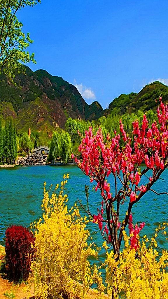 Hd Wallpapers For Mobile Free Download Nature