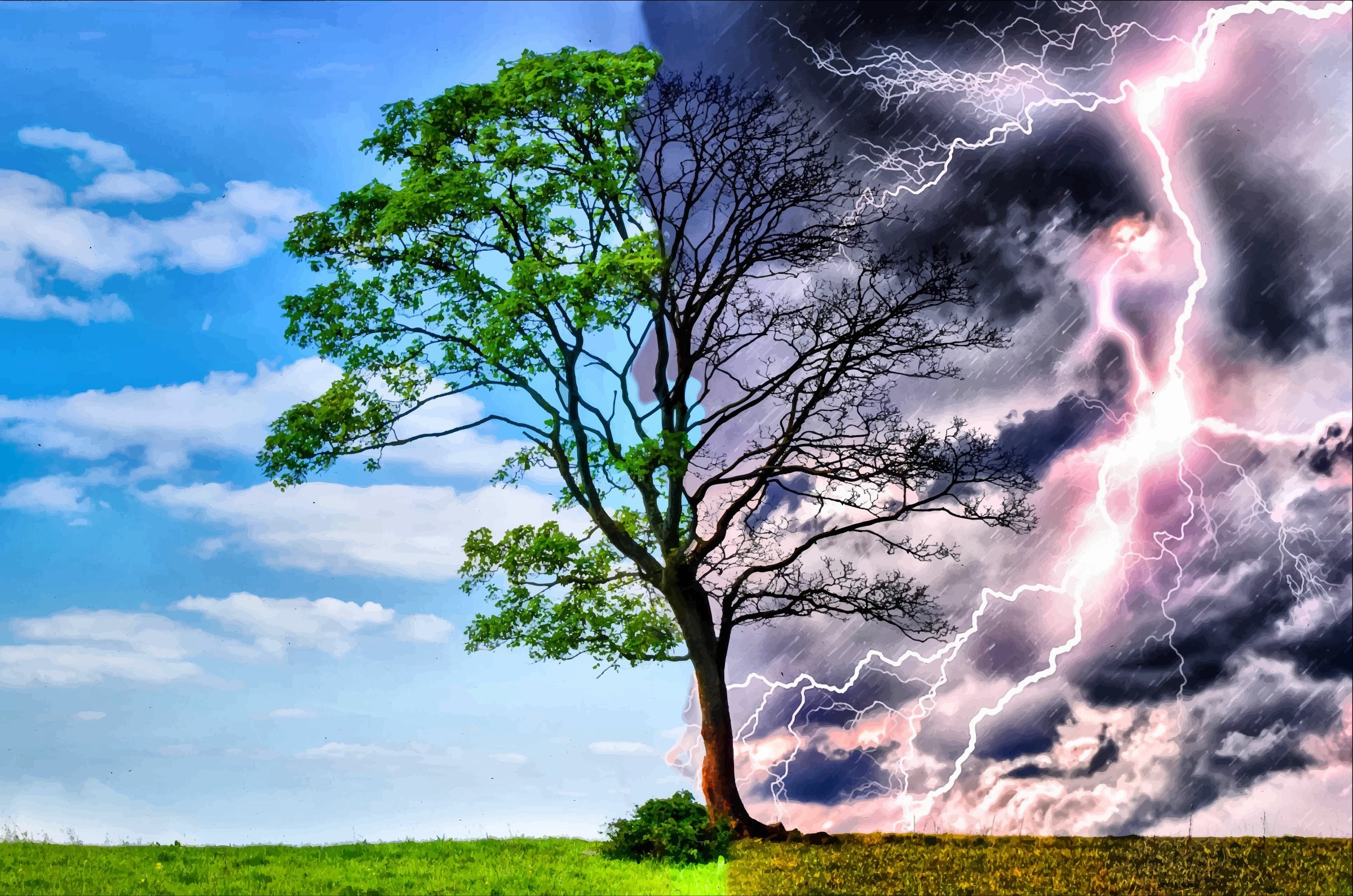 Nature, Wallpaper Hd Mobile, Laptop, Artwork, Clouds,full - Storm Trees Lightning 4k , HD Wallpaper & Backgrounds