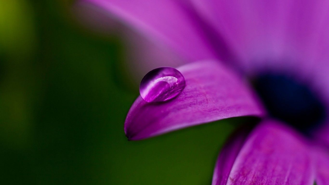 Featured image of post Nature Images Download In Gallery - Download beautiful vivid and icy pics from our gallery and experience a relaxing feeling every time you look at your screen.