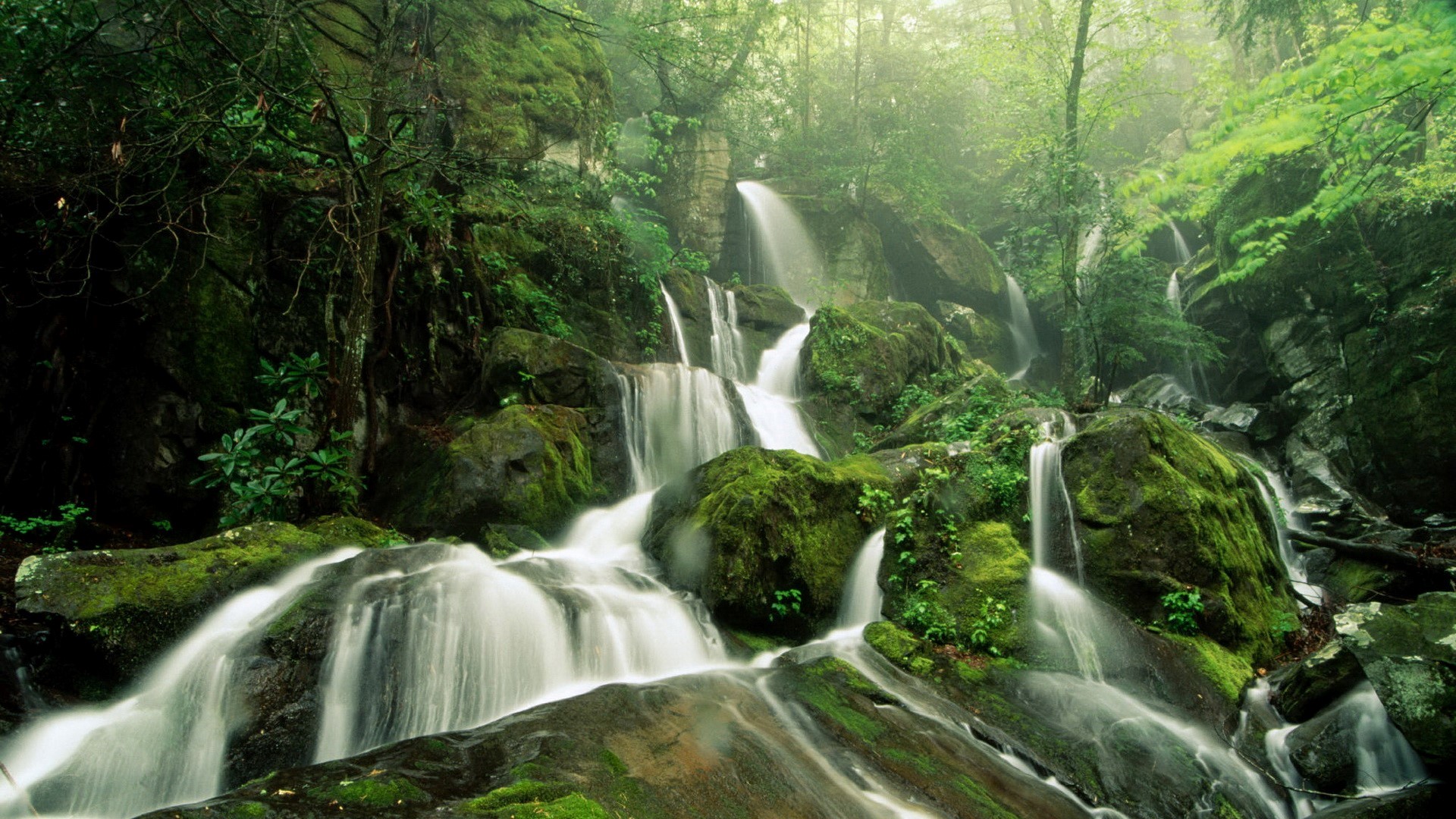 Download Wallpaper - Waterfall Nature Hd Wallpapers 1080p , HD Wallpaper & Backgrounds