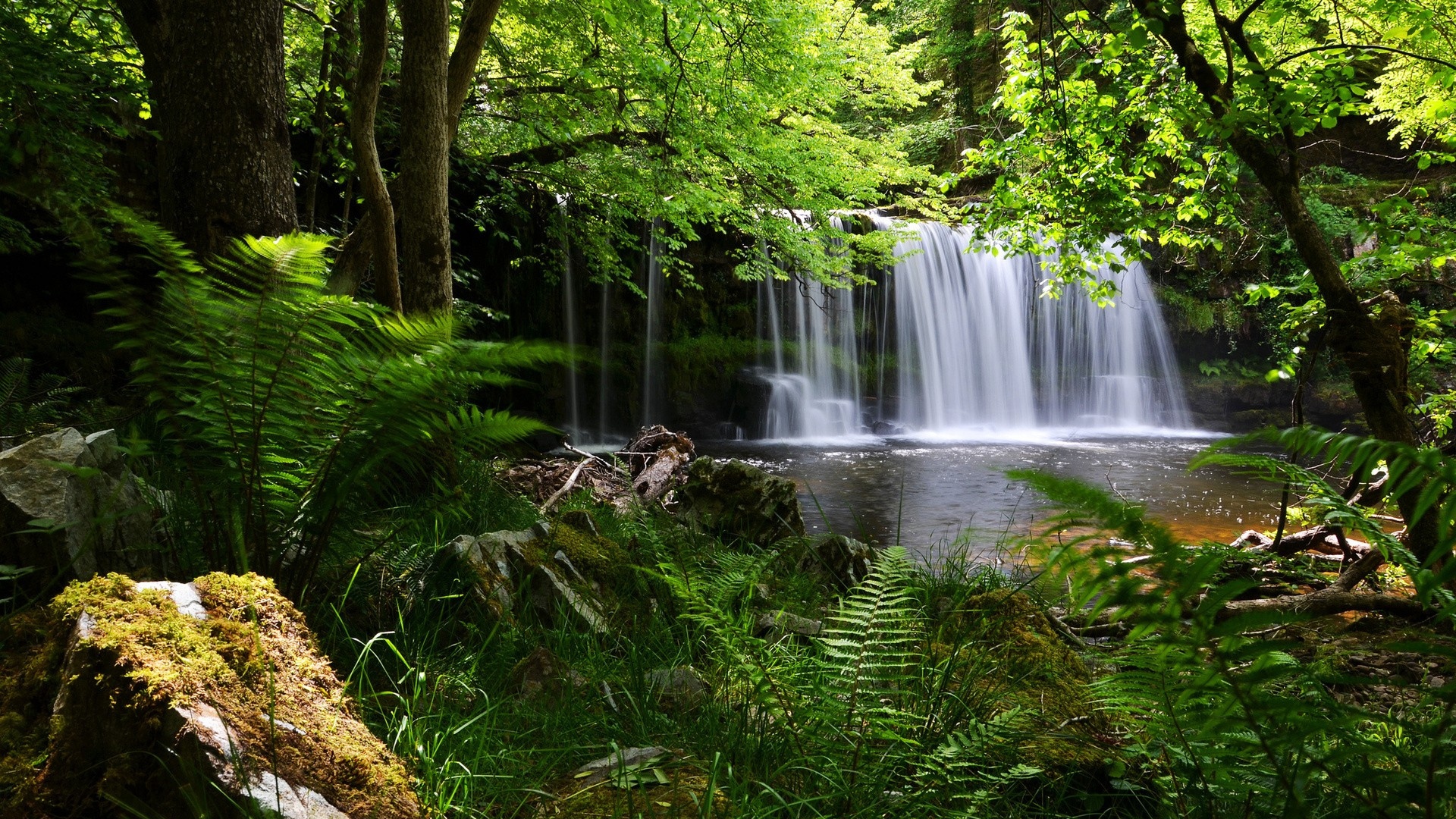 Download Wallpaper Waterfall Grass Nature Shadow Full - Waterfall Hd Wallpapers 1080p , HD Wallpaper & Backgrounds