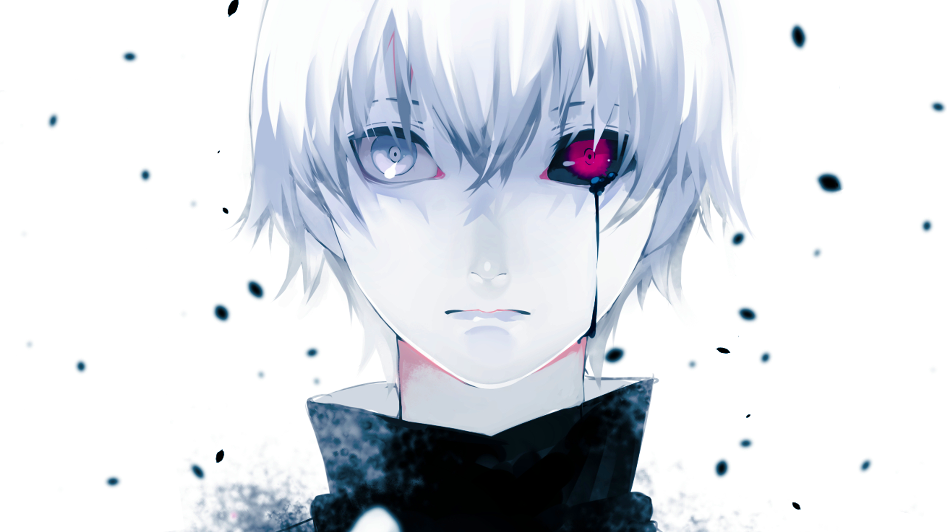 Kaneki Tokyo Ghoul Wallpapers Hd - Tokyo Ghoul Hd , HD Wallpaper & Backgrounds