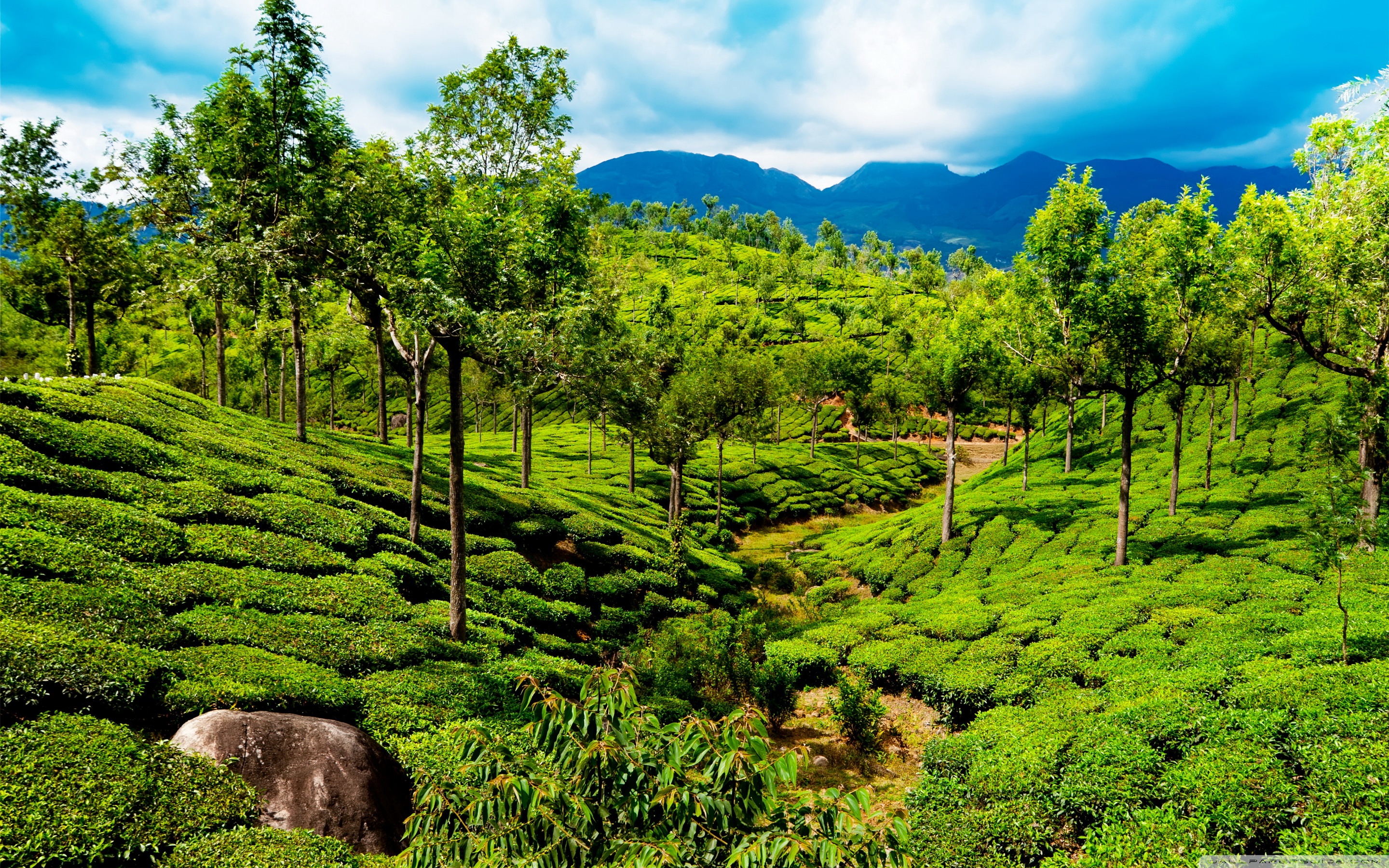 India Kerala Wallpapers And Stock Photos - Tourist Places In Kerala , HD Wallpaper & Backgrounds