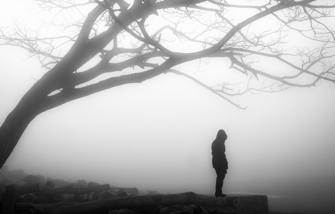 Photo Wallpaper Misty, Tree, Solitude, Loneliness, - Winter Fog In Bangladesh , HD Wallpaper & Backgrounds