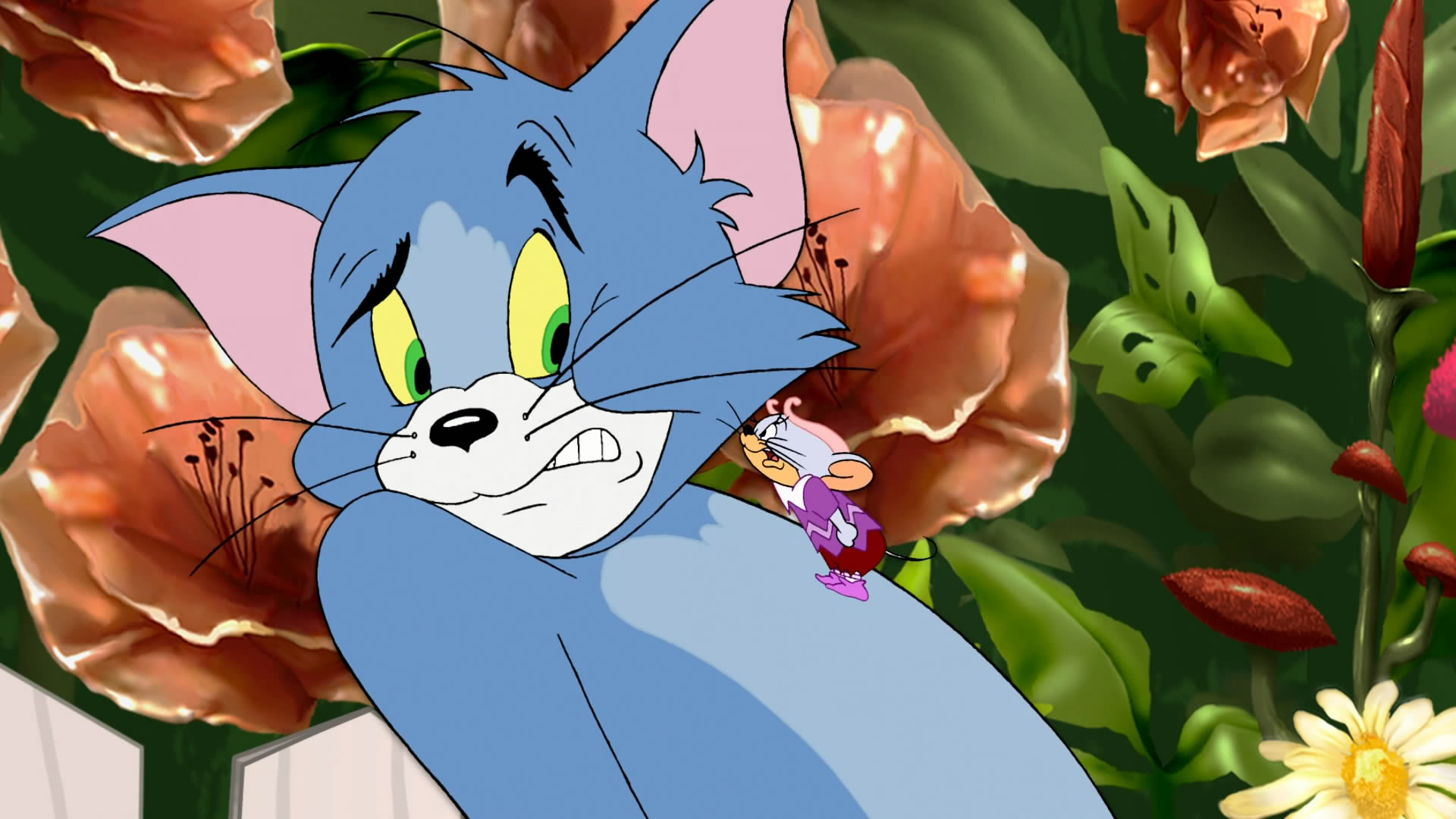 Tom And Jerry Hd Wallpapers , HD Wallpaper & Backgrounds