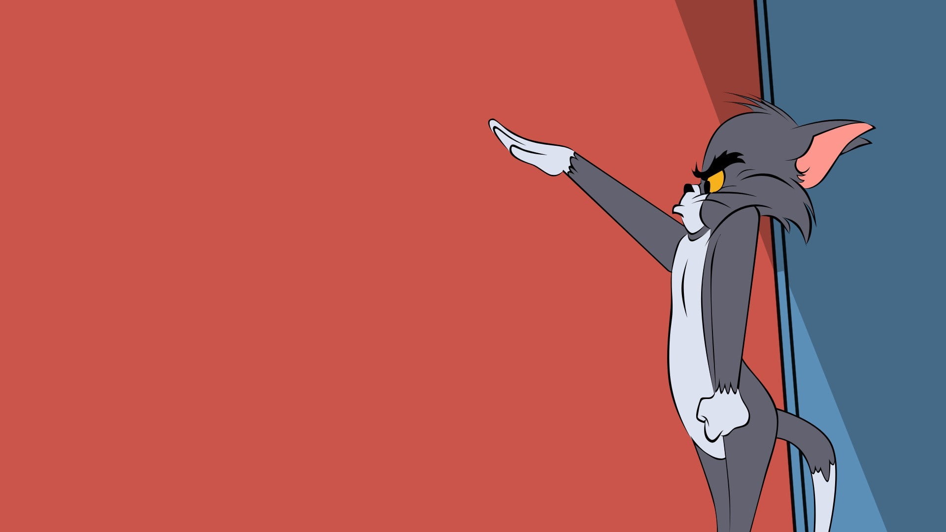 Tom In Tom In Jerry, Tom And Jerry, Cartoon Hd Wallpaper - Tom And Jerry Hitler , HD Wallpaper & Backgrounds