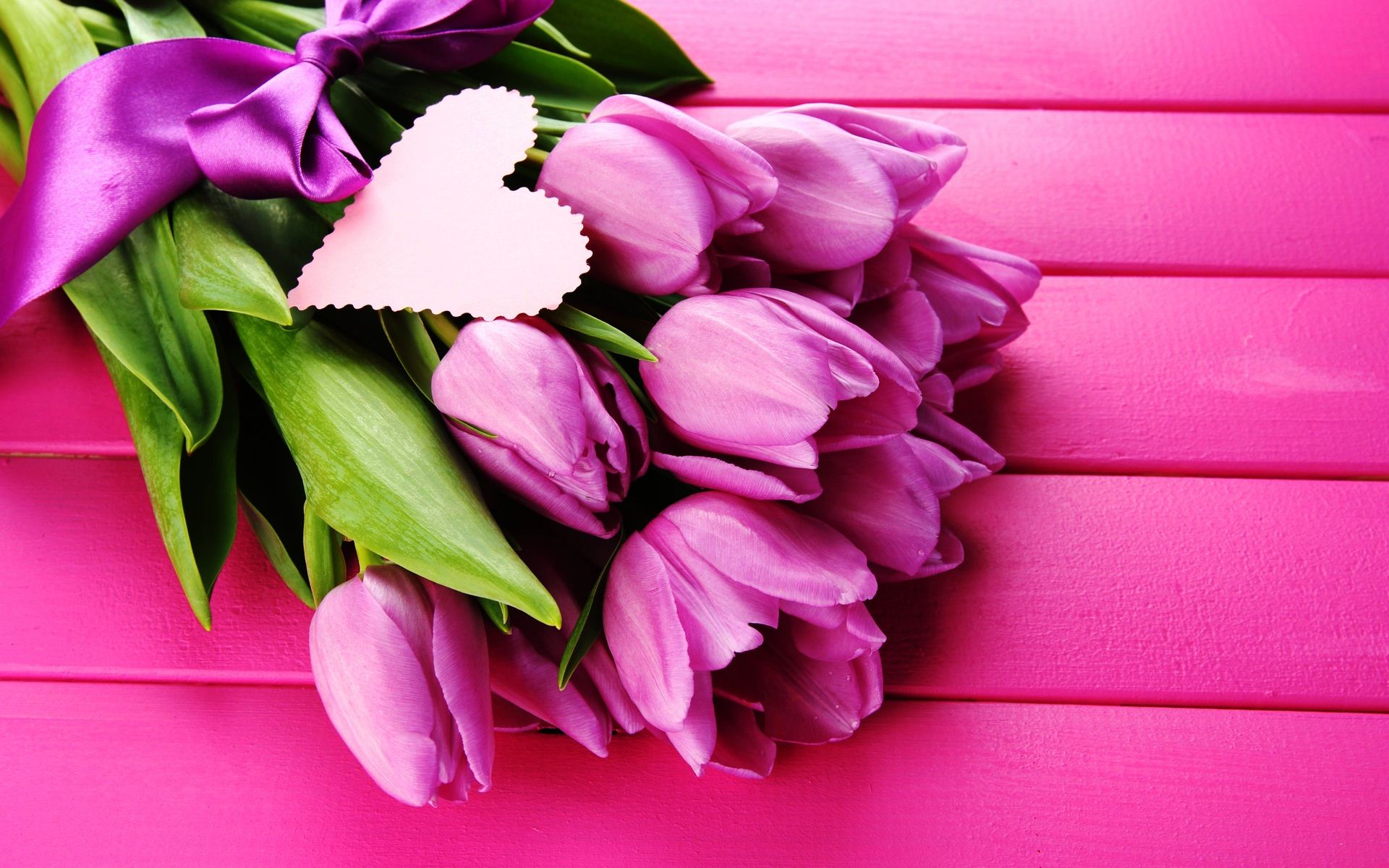 Tulip Flowers Wallpaper Funmag White Tulips Wallpapers - Purple And Pink Tulips , HD Wallpaper & Backgrounds