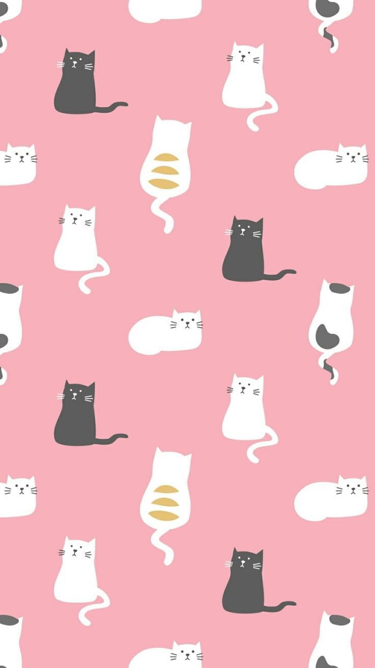Parede - Kawaii Wallpaper Laptop Cat , HD Wallpaper & Backgrounds