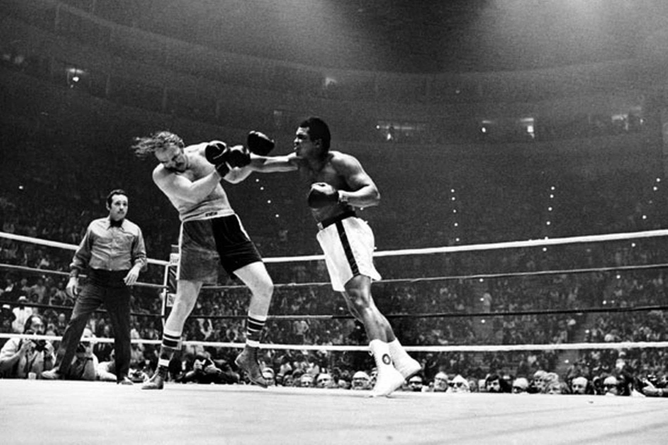 Chuck Wepner Step On Ali Foot , HD Wallpaper & Backgrounds