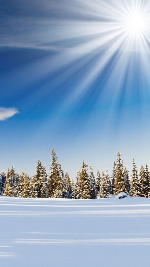 Snow Wallpaper Hd 103 Best Cell Phone Wallpapers Winter - Scenery Of Nature Winter , HD Wallpaper & Backgrounds