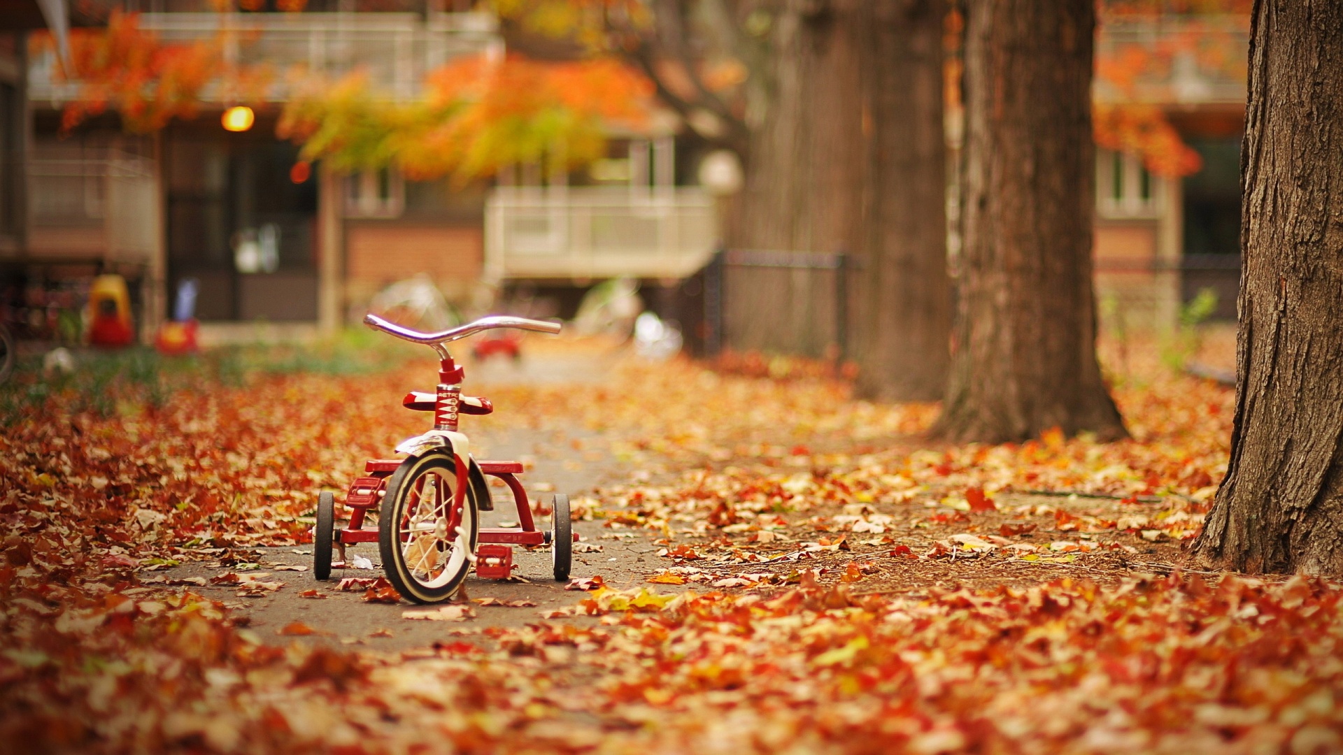 K#tricycle Autumn Wallpaper Hd Wallpapers - Childhood Park , HD Wallpaper & Backgrounds