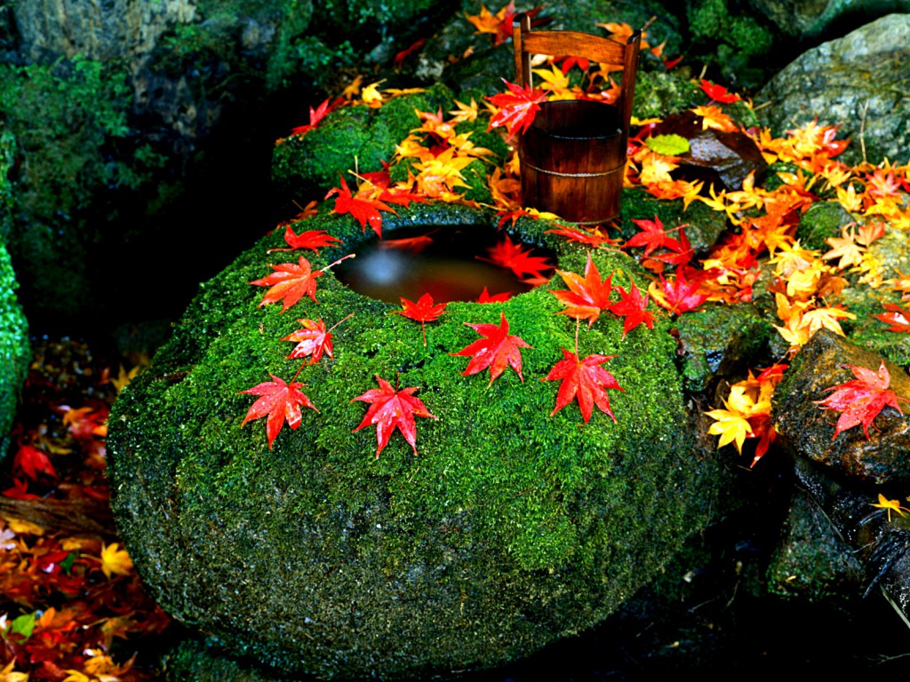 Free Hd Twitter Cover Autumn Leaves Wallpapers Download - Autumn Japan Free , HD Wallpaper & Backgrounds