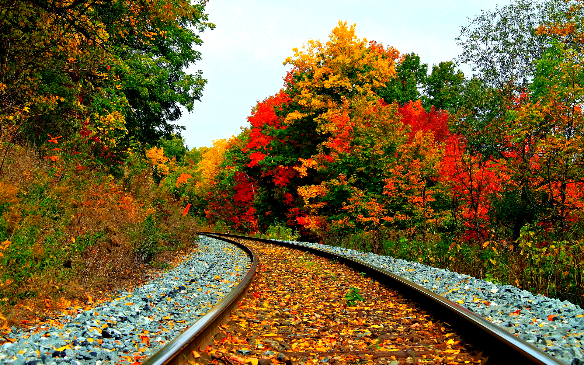 Railway Autumn Wallpaper , HD Wallpaper & Backgrounds